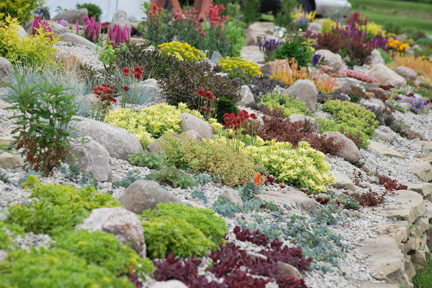 Creating a Successful Rock Garden