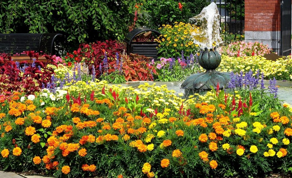 Quick Guide to Flower Beds