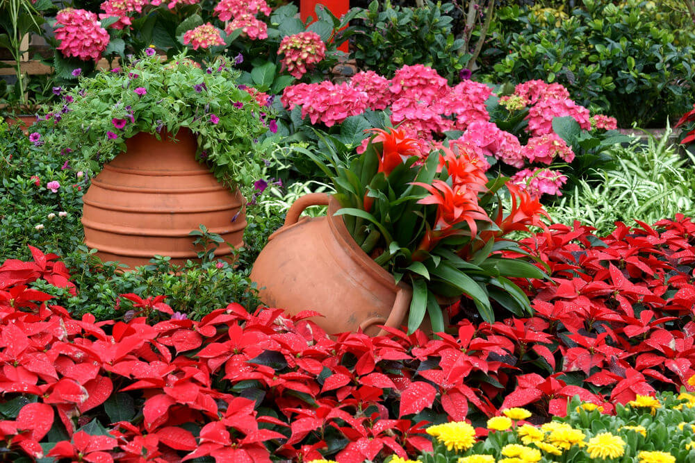 Botanical Gardens
