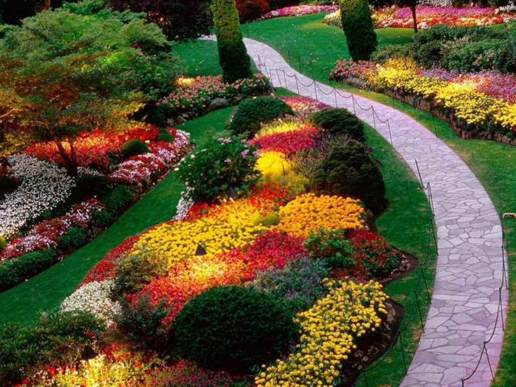 Color Scheme Options for your Landscape Design
